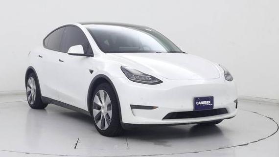 TESLA MODEL Y 2021 5YJYGDEEXMF072969 image